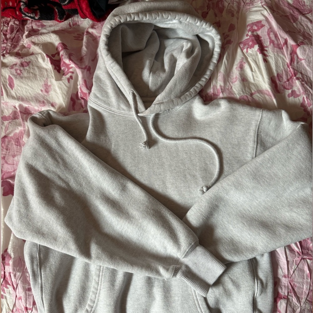 Aritzia boyfriend hoodie